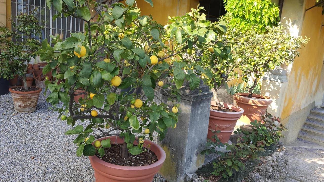 B&B Villa Sant'Anna Bergamo Exterior photo